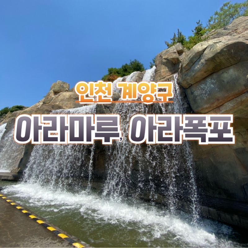 사진 5