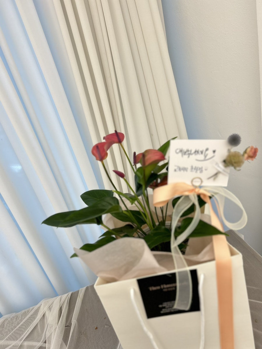 교촌치킨 곤지암점 사진 5