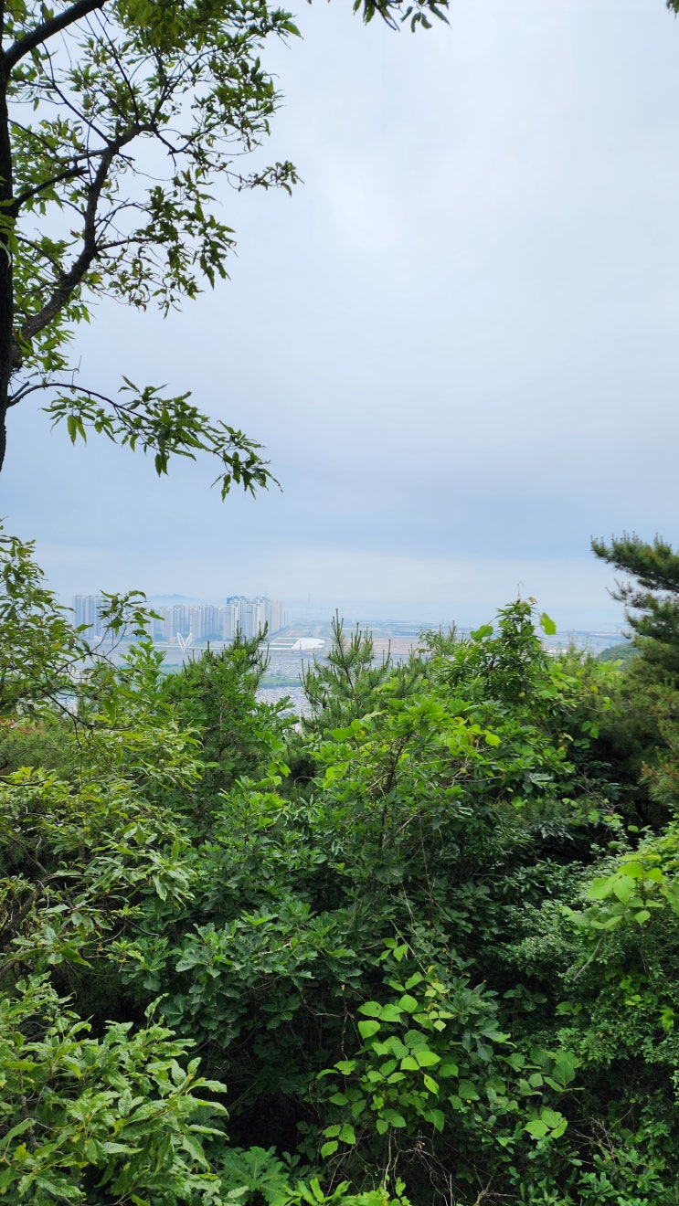  인천 연수구 청량산 등산 나들이