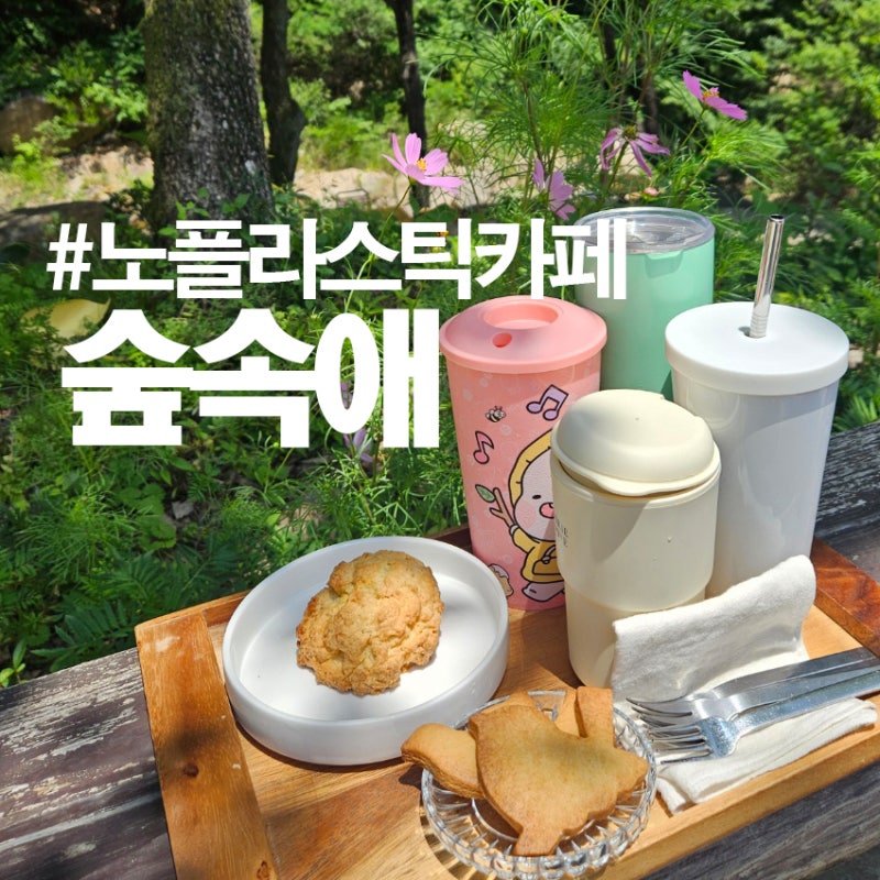 사진 5
