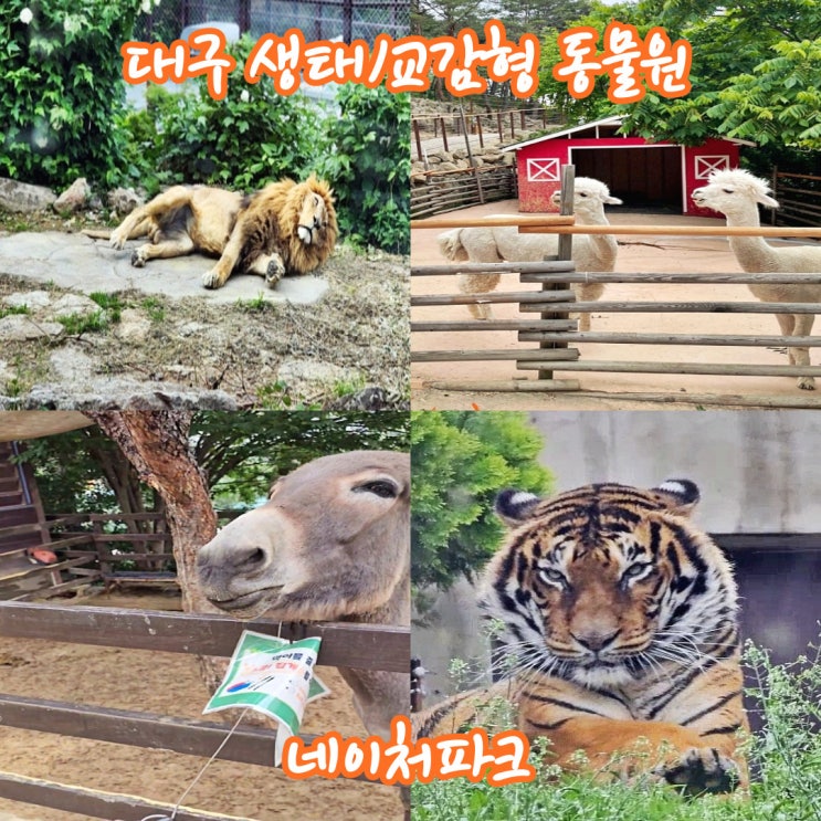  [대구] 생태, 교감형 동물원 네이처파크 가창 데이트, 아이들과 가족여행 하기 좋은 가볼만한 곳