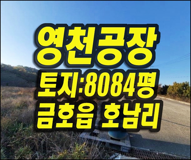  토지8000평 영천공장매매 금호읍 호남리 공장 경매 태광금속