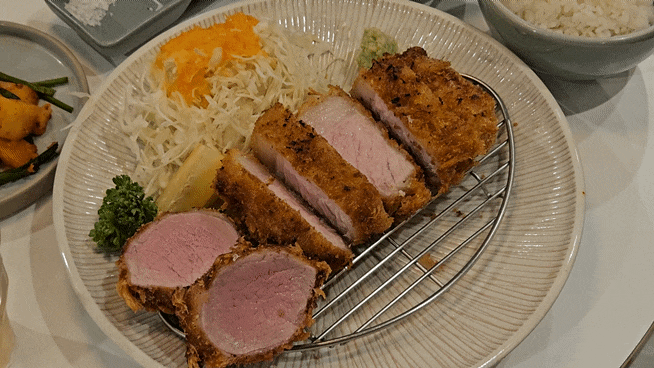  포항 담박집 - 돈까스, 사케동이 맛있는 포항공대 포스텍 맛집 내돈내산 후기