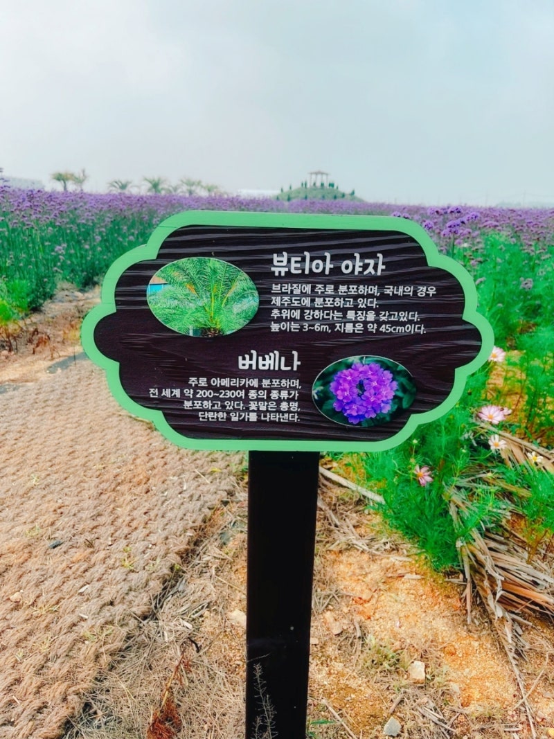 사진 3