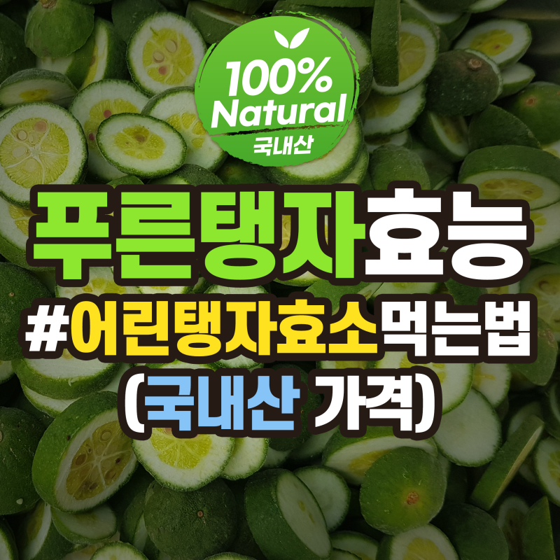 천연소화제 탱자 효능 6가지 알고 열매 효소 먹는법과 가격 부작용? 자연담기농장