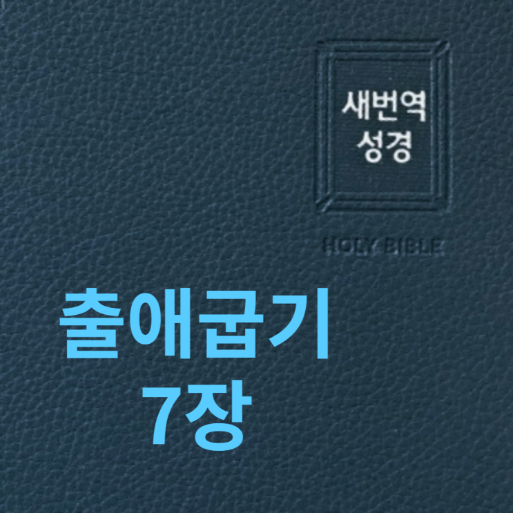 출애굽기 7장 출애굽기 7장