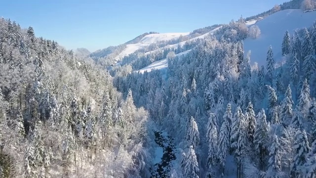  리스 , 합리적인 방법