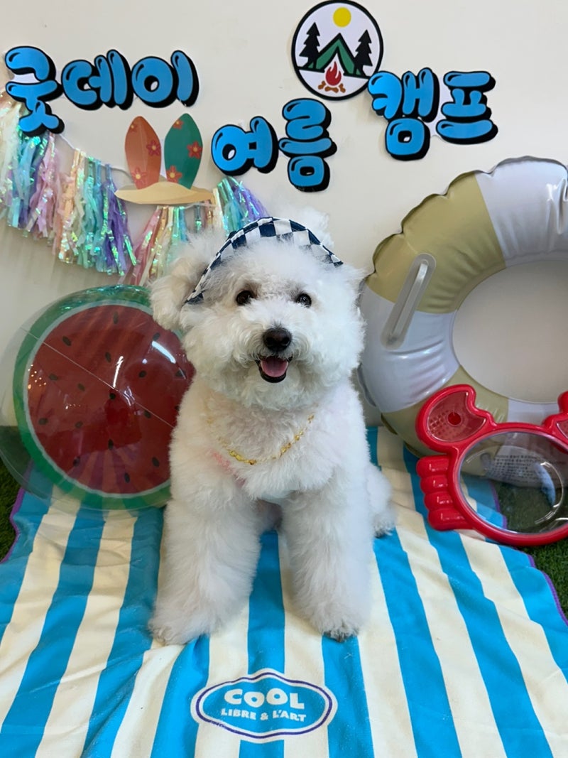 사진 6
