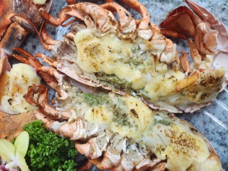  평택 고덕 횟집 칸지 대게 랍스타 맛집