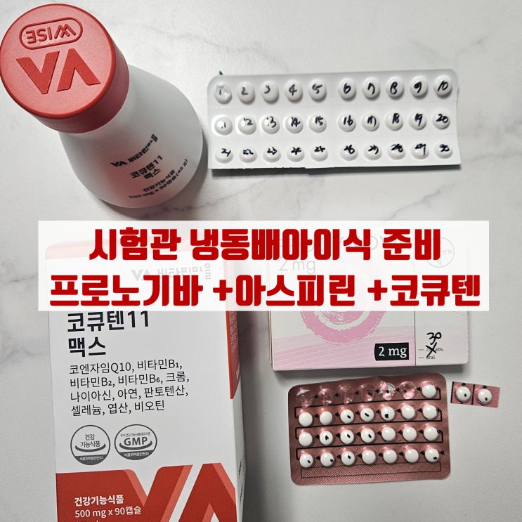  나주 시험관 냉동배아이식 준비 / 프로노기바 부작용