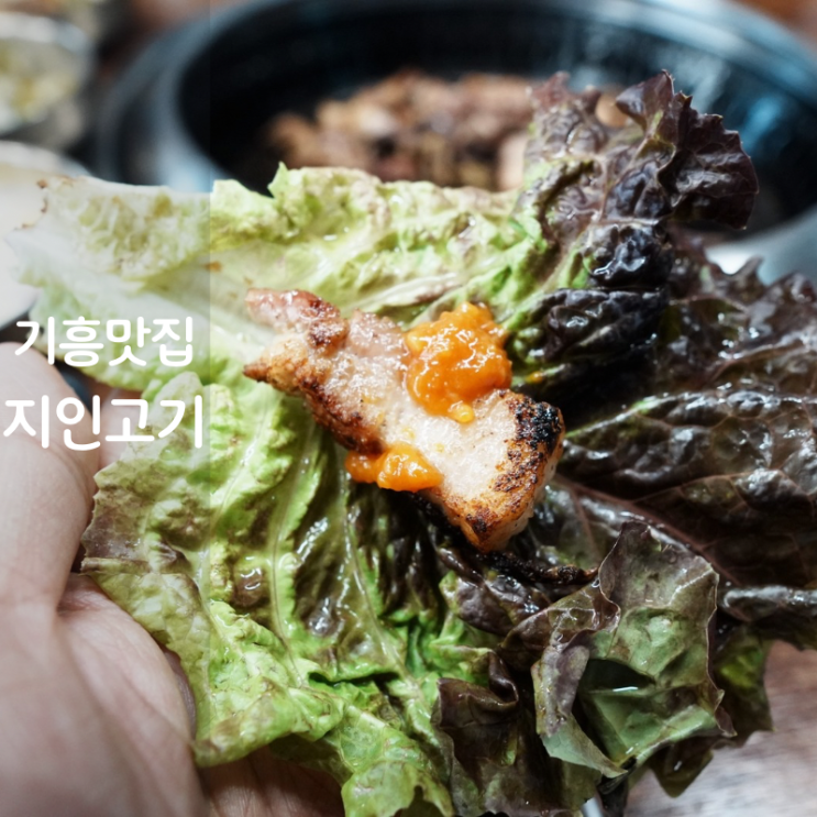 기흥 코리아CC 골드CC 맛집 지인고기 삼겹살 구이 고기집