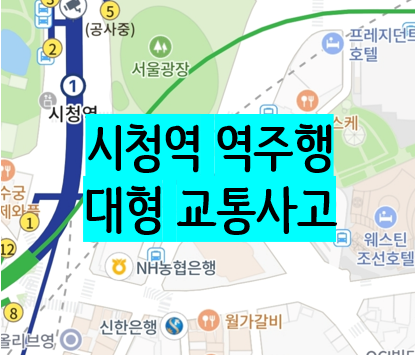 <b>시청역</b> 역주행 사고, 한밤중 날벼락! 급발진/운전미숙/<b>부부</b>싸움... 