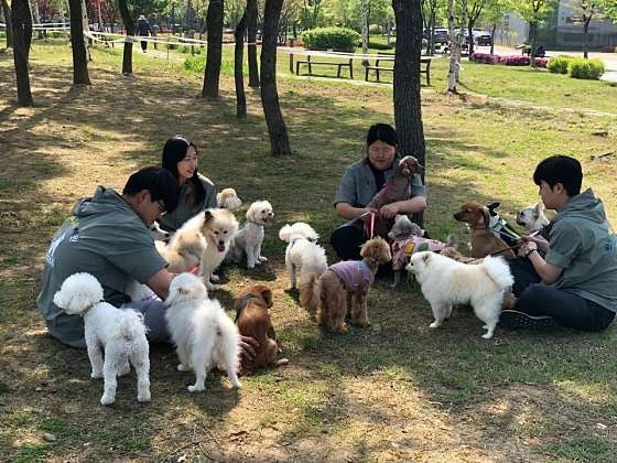 어스독 본점 사진 4