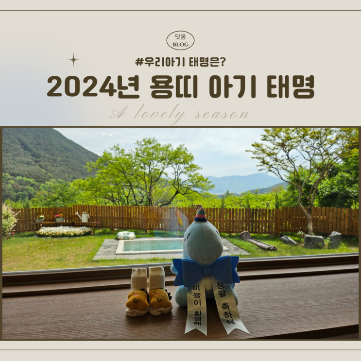  [임신-2] 2024년 아기 태명 짓는 방법 청룡의 해 용띠 아기 태명 추천