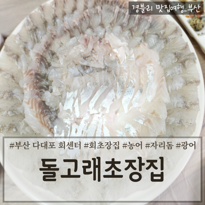  부산 다대포회센터 다대활어재래시장에서 회포장 내돈내산후기 (Feat. 회초장식당 돌고래초장집)