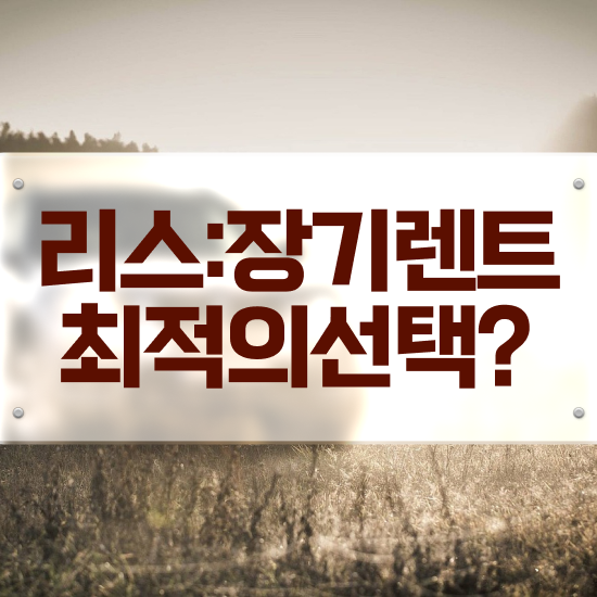  렌트 , 유지비 효율성 비교견적 완벽한 선택