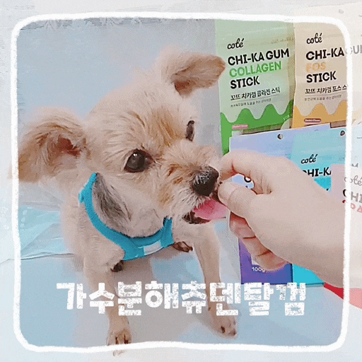  강아지 입냄새 제거 가수분해츄 덴탈껌 노견간식 후기