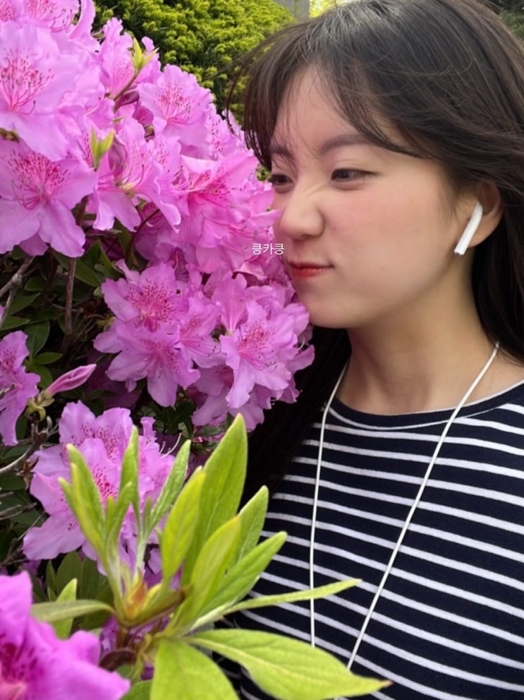  날씨가 다 한 4월 일상 기록 
