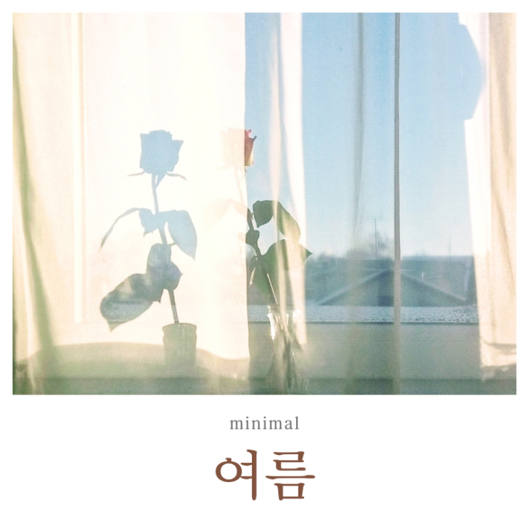  여름에 필요한 물건