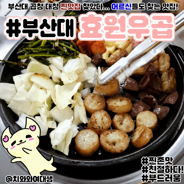  부산대 곱창 맛집 효원우곱 가성비 좋은 술집 추천