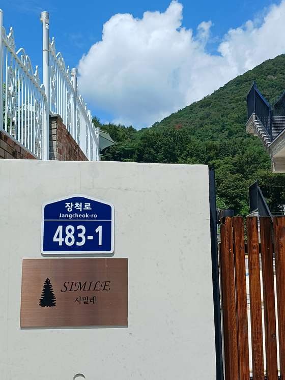 사진 2