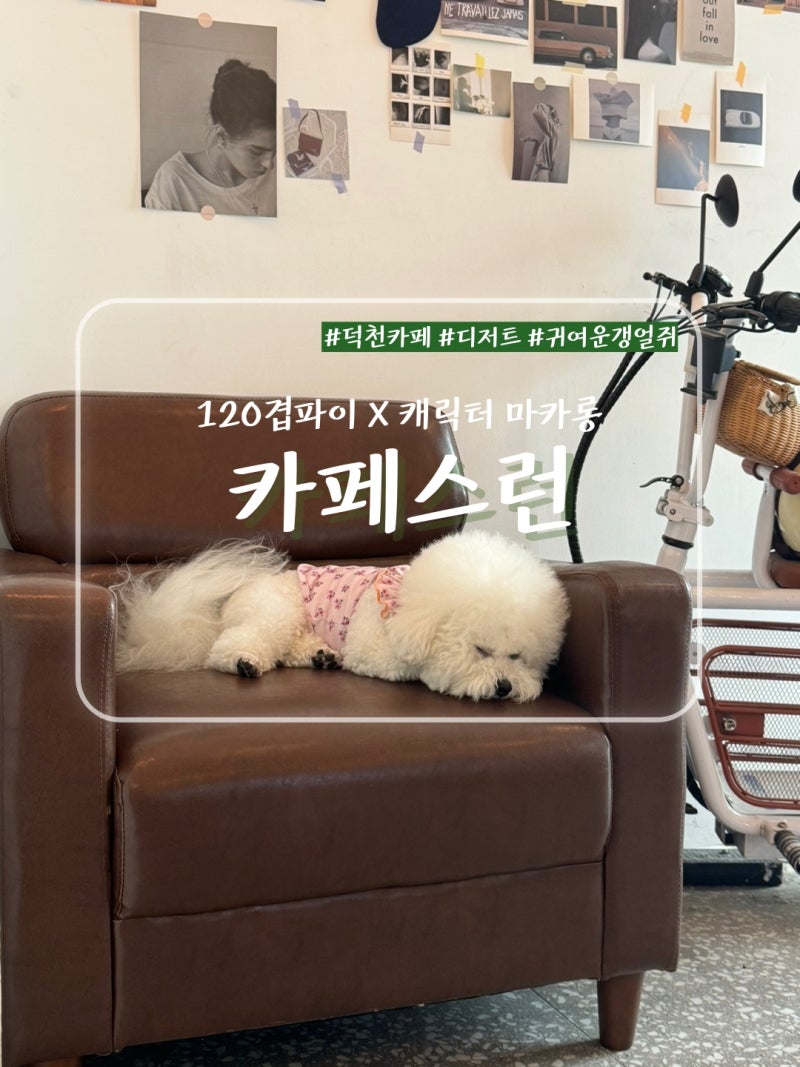 사진 2