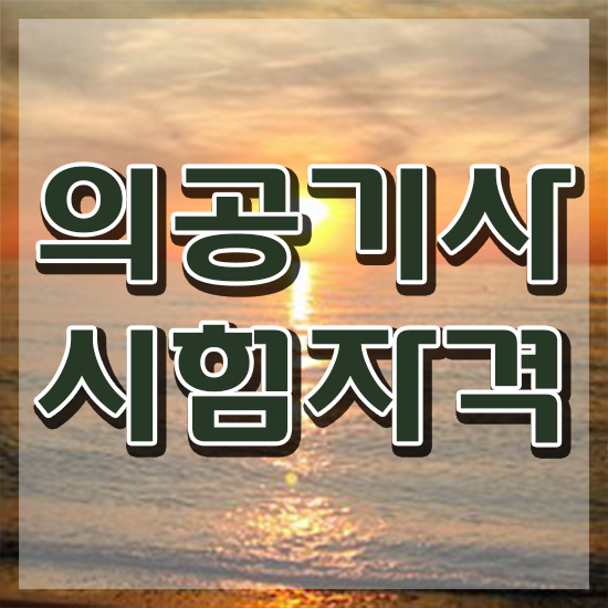  의공기사 실기 의공기사 응시자격 독학으로 편하게 성공한 방법