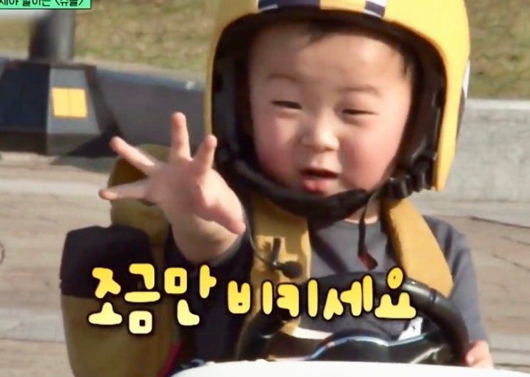  송일국 삼둥이 대한민국만세 나이 학교 근황 (+최진실)