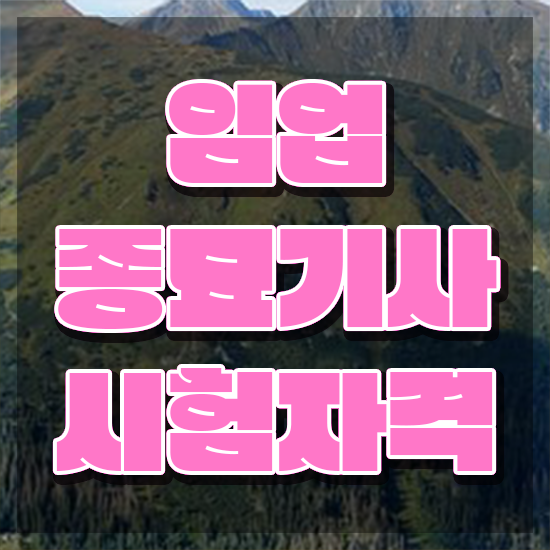  임업종묘기사 취득자격 독학으로 간편하게 성공한 팁