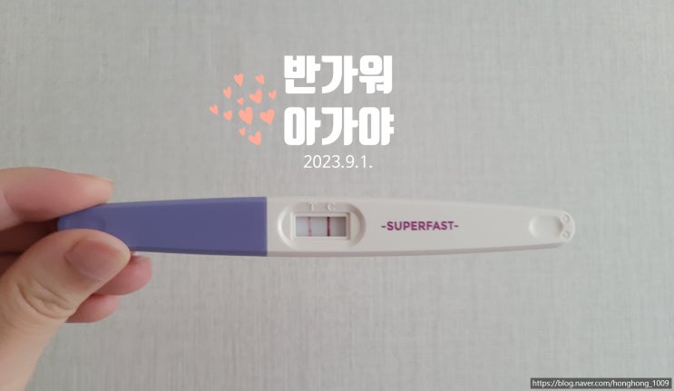  육아일기 시작_임신확인과 동시에 코로나19 확진 (임신초기 임산부 타이레놀 복용)