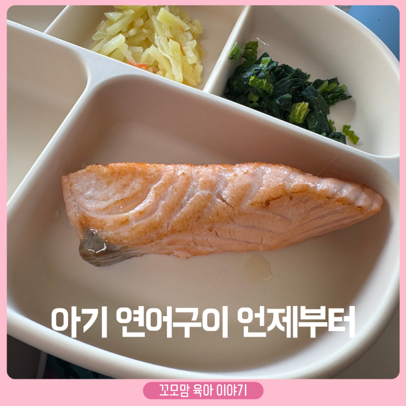 돌아기 연어구이 유아식 연어 언제부터