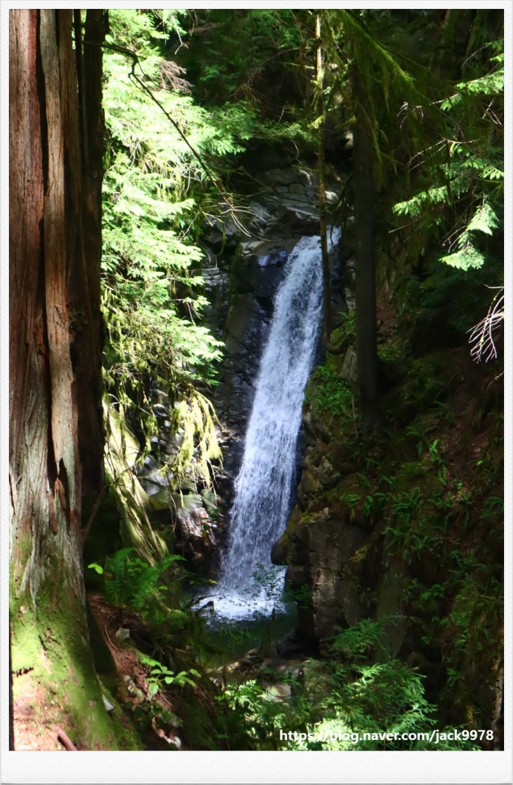  밴쿠버의 숨은 명소, Cypress Falls Park 탐방기