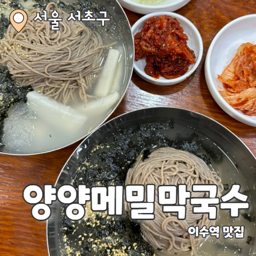  양양메밀막국수 : 막국수계의 평양냉면 이수역 미슐랭맛집 내돈내산 후기