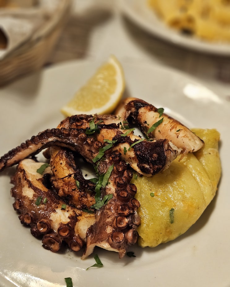  [로마/맛집] 문어가 맛있는 Taverna del Seminario