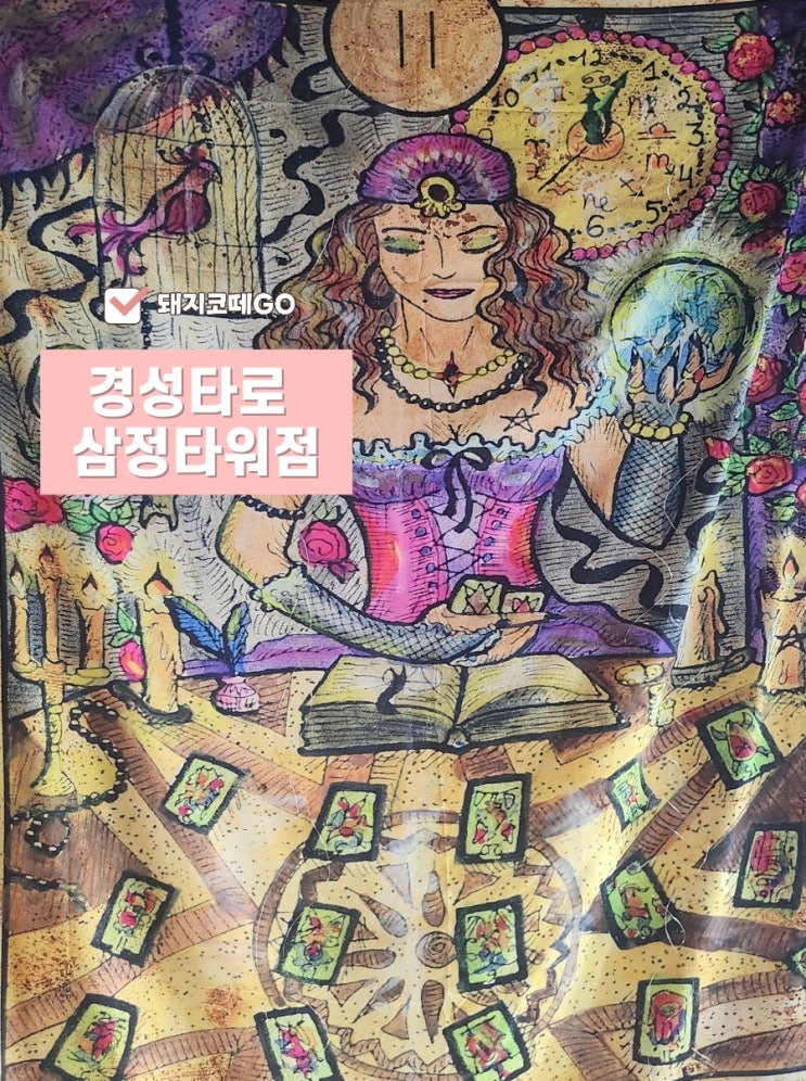  돼지코떼GO_서면사주와 서면타로는 경성타로 삼정타워점에서 조언 받으세요