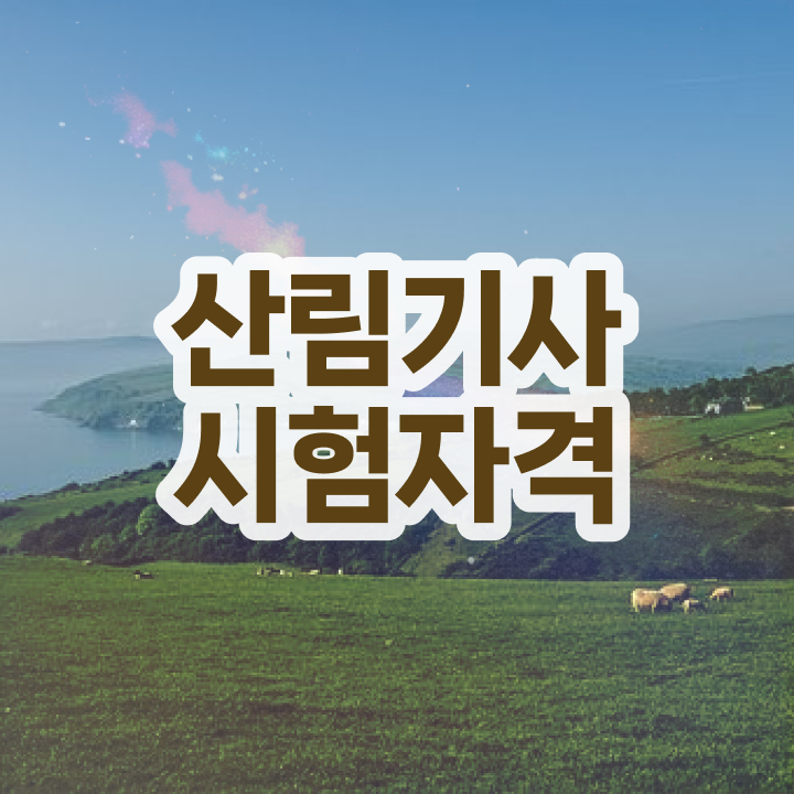  산림기사 필기 기간 산림기사 자격요건 온라인으로 간단하게 끝낸 전략