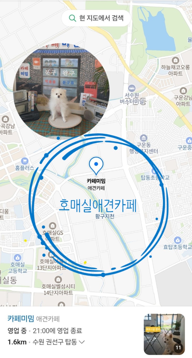 수원애견카페 테라스있는 애견카페 깨긋한애견카페 노키즈존이아니라 정말 감사해! 수원애견카페 테라스있는 애견카페 깨긋한애견카페 노키즈존이아니라 정말 감사해!