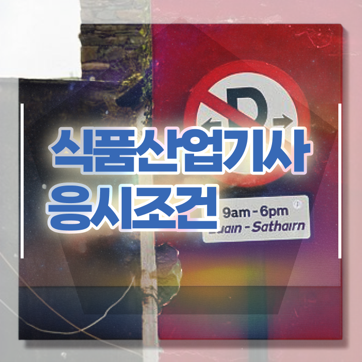  식품산업기사 실기 식품산업기사 자격요건 온라인 과정으로 5개월 만에 준비한 팁