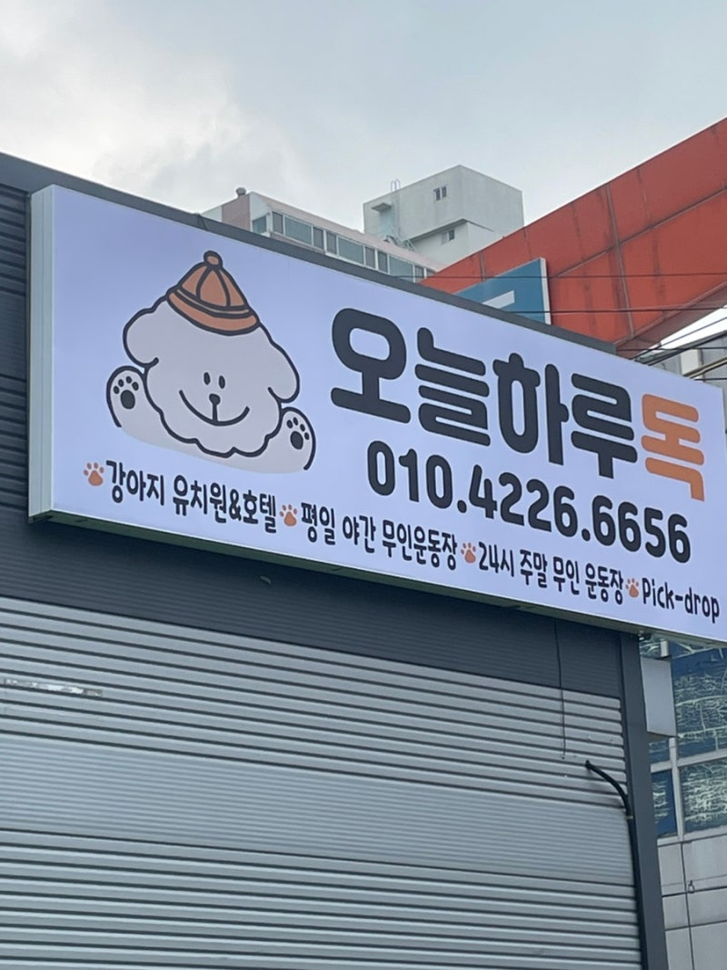 사진 4