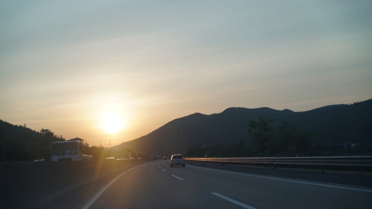  성수동흥신소 탐정사무소의 사람찾기 서비스: 사례와 비용 분석