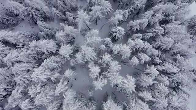  울산 결혼박람회 , 웨딩홀 추천 가이드 , 결혼박람회에서 결혼준비 세심히 분석하는 노하우