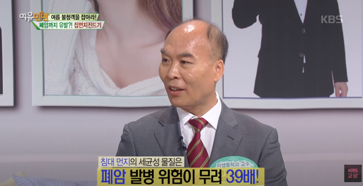  부천 매트리스, 집먼지 진드기 폐암 발병 위험이 무려 39배..