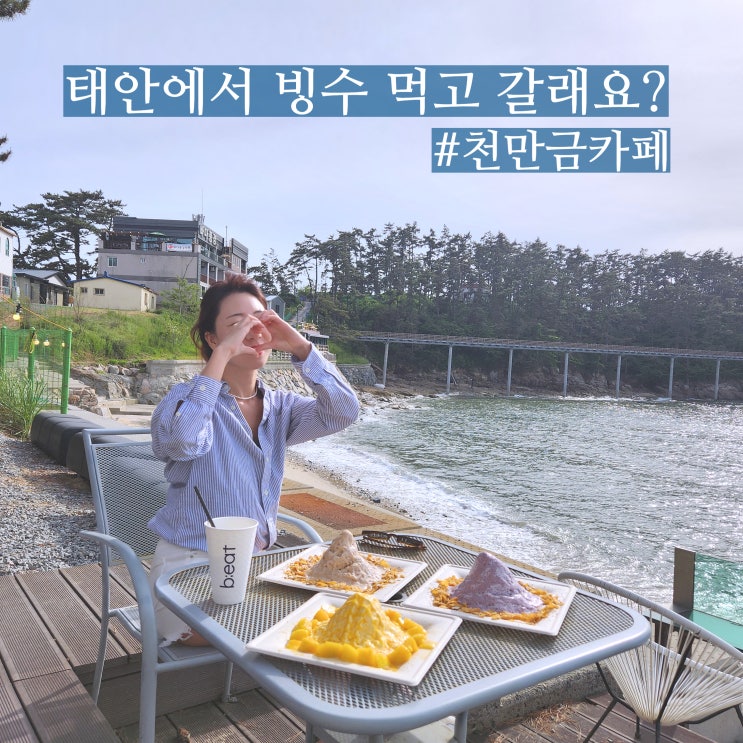  태안 애견동반 카페 천만금카페 만리포 빙수맛집