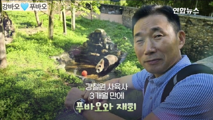 92일 만에 할부지 강바오 <b>강철원 주키퍼</b>와 중국선수핑에서 재회