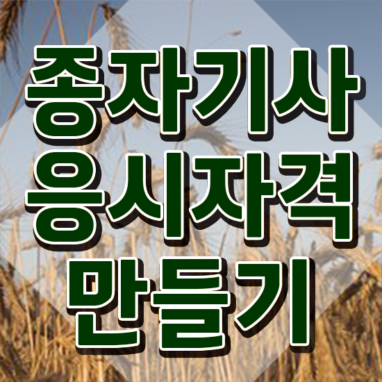  종자기사 신청 종자기사 응시자격 독학으로 간편하게 완료한 노하우