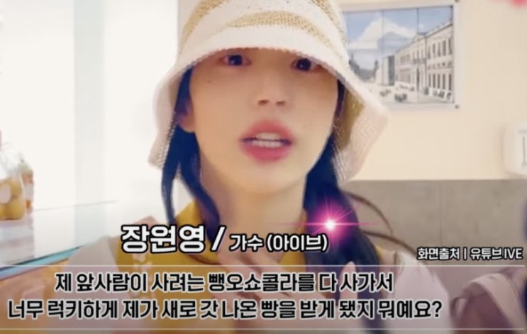  원영적 사고말고 펠리컨적 사고 어때요