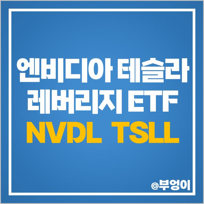 테슬라 주식 엔비디아 관련주 투자 방법 레버리지 미국 ETF TSLL NVDL 주가 테슬라 주식 엔비디아 관련주 투자 방법 레버리지 미국 ETF TSLL NVDL 주가