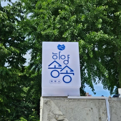 사진 6