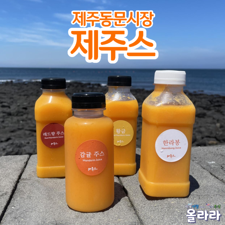  제주동문시장 수제초콜릿 감귤 한라봉 레드향 제주스