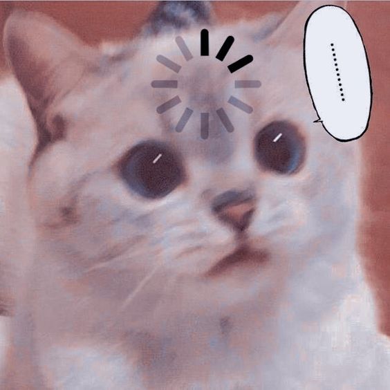  [여름일상] 장맛비... 도대체 이것 뭐에요~~?..